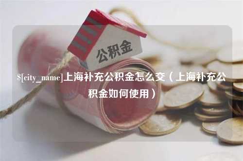 乐山上海补充公积金怎么交（上海补充公积金如何使用）